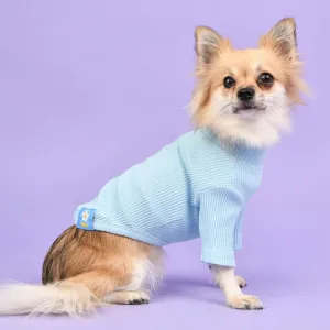 Korean Baby Blue Cotton Sleeve Tee by Olchi