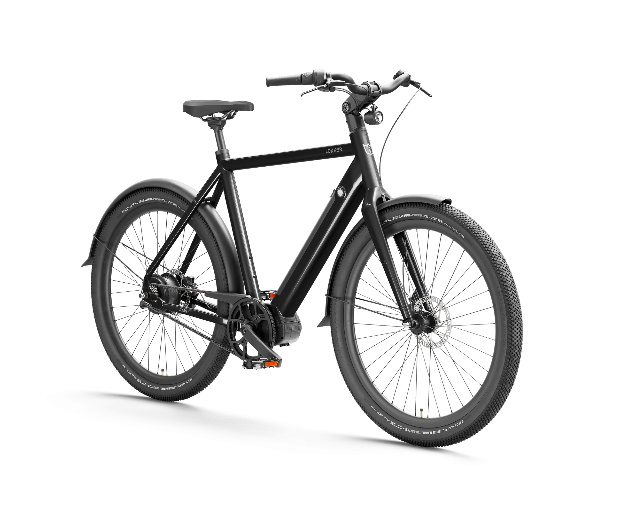 Limited Edition GTS eBike