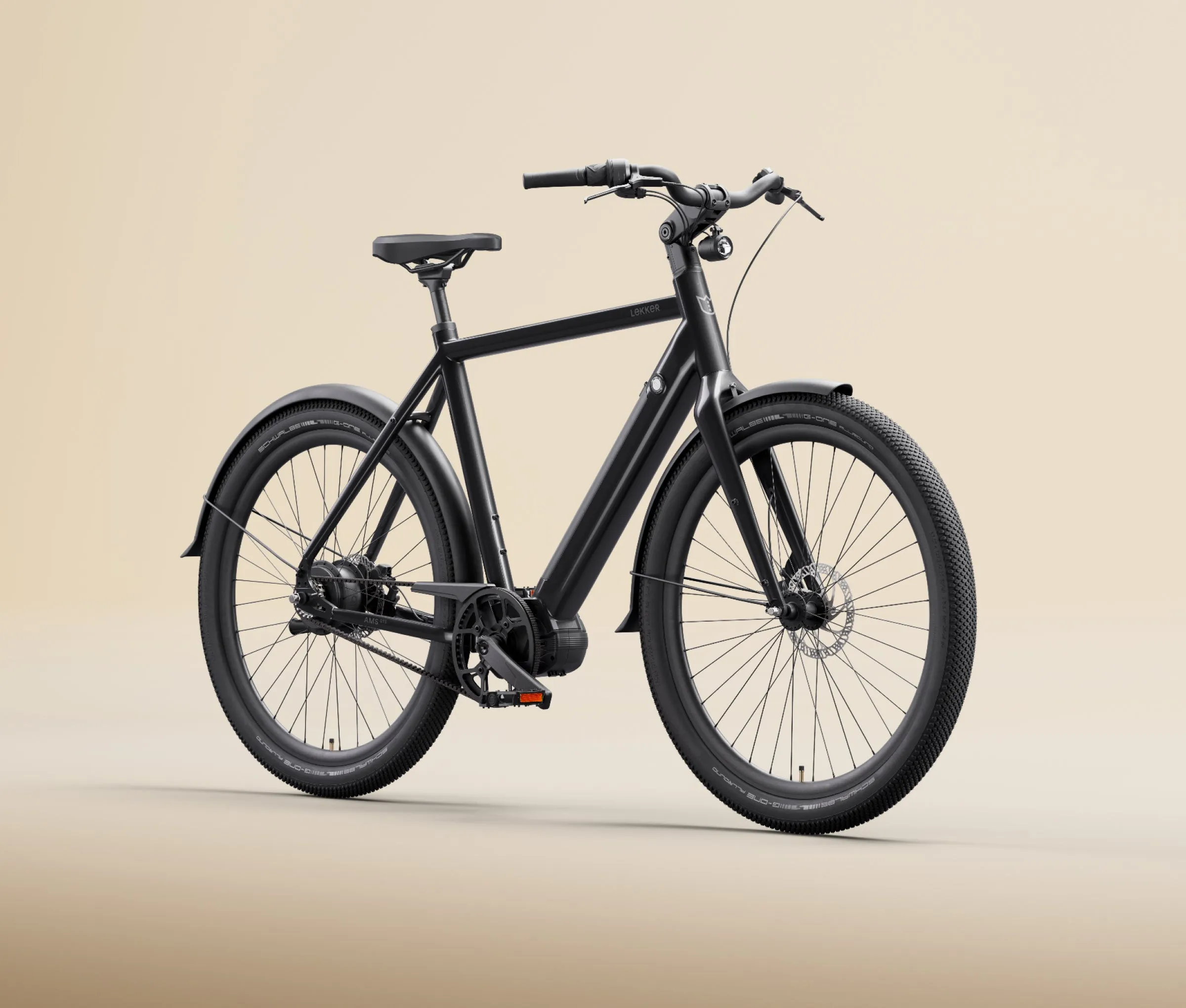 Limited Edition GTS eBike