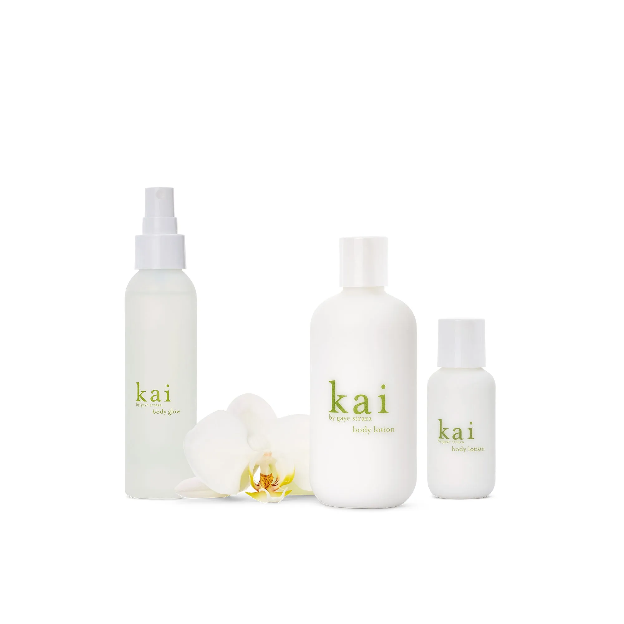 spring body bundle